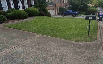 Photo of Jodi W.'s yard after getting lawn care in London, KY