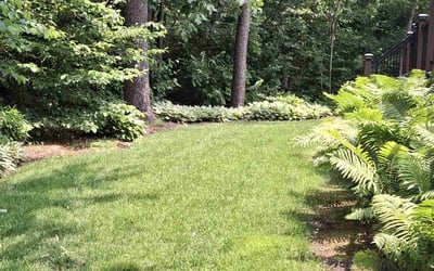 Photo of Brandon D.'s yard after getting lawn care in Clayton, NC