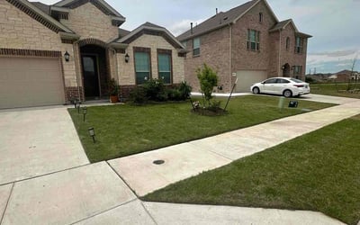 Photo of Jesse A.'s yard after getting lawn care in Converse, TX