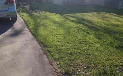 Photo of Allison R.'s yard after getting lawn care in North Versailles, PA