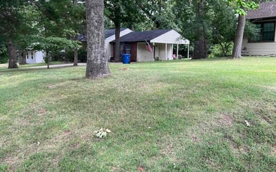 Photo of Jason M.'s yard after getting lawn care in Clinton, UT