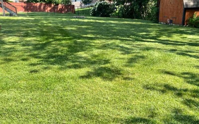 Photo of Danielle W.'s yard after getting lawn care in Blaine, MN