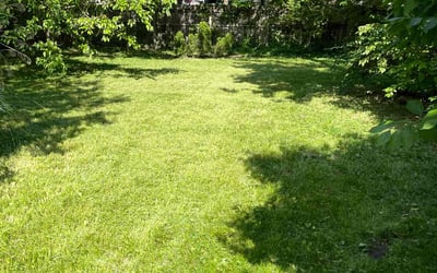 Photo of Dustin F.'s yard after getting lawn care in Grove City, OH