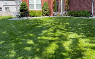 Photo of Dana G.'s yard after getting lawn care in Oswego, IL