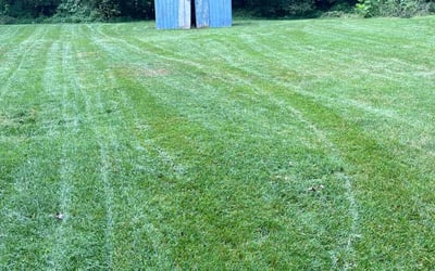 Photo of Richard K.'s yard after getting lawn care in Algonquin, IL