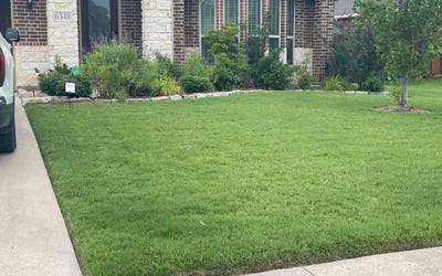 Photo of Andy R.'s yard after getting tree care in Mesquite, TX