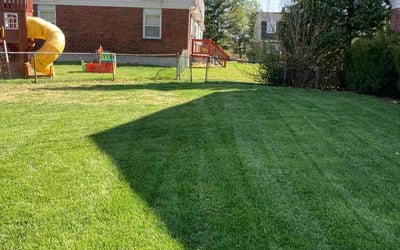 Photo of Linwood S.'s yard after getting lawn care in Halethorpe, MD