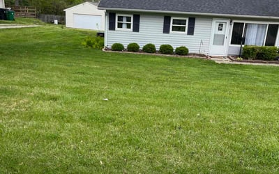 Photo of Norman V.'s yard after getting lawn care in Loveland, OH