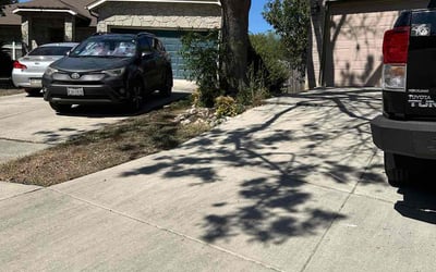 Photo of Raquel R.'s yard after getting lawn care in Evanston, IL
