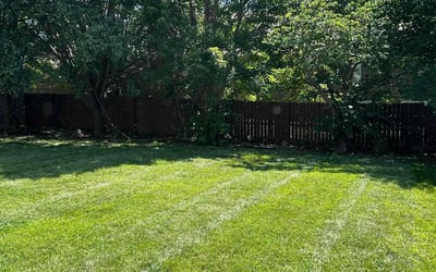 Photo of Kathryn F.'s yard after getting lawn care in Lacygne, KS