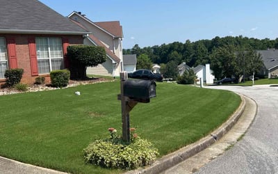 Photo of Shenia R.'s yard after getting lawn care in Ellenwood, GA