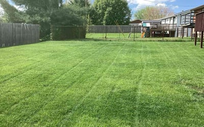 Photo of Hector M.'s yard after getting lawn care in Independence, KY
