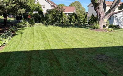 Photo of Veronica P.'s yard after getting lawn care in Traverse City, MI