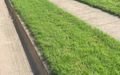 Photo of Elsa C.'s yard after getting lawn care in Biloxi, MS