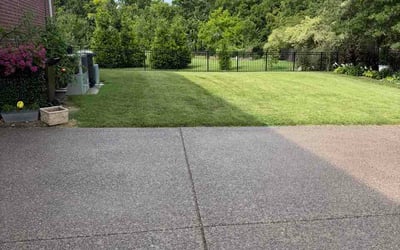 Photo of Anjuman A.'s yard after getting lawn care in Havertown, PA