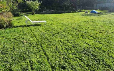 Photo of Alyssa C.'s yard after getting lawn care in Sebastopol, CA