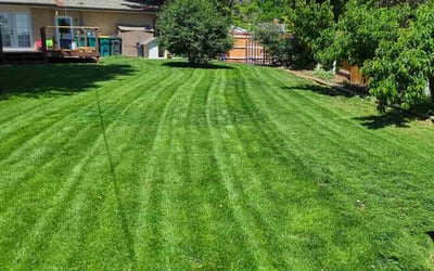 Photo of Sarah S.'s yard after getting lawn care in Hiram, GA
