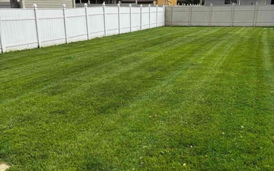 Photo of Rhett A.'s yard after getting lawn care in Riverside, CA