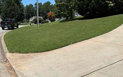 Photo of J C.'s yard after getting lawn care in Rialto, CA