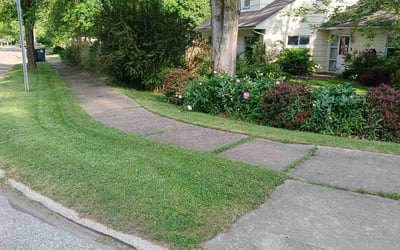 Photo of Elissa H.'s yard after getting lawn care in Akron, OH