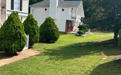 Photo of Jay D.'s yard after getting lawn care in Douglasville, GA