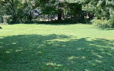 Photo of Dawn F.'s yard after getting lawn care in Ravenna, OH