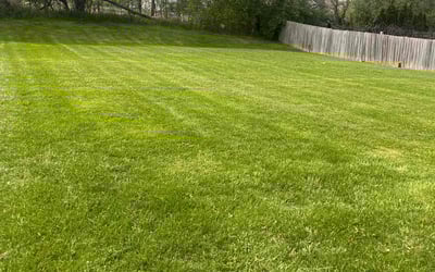 Photo of Michelle F.'s yard after getting lawn care in Pataskala, OH