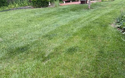 Photo of Matthew I.'s yard after getting lawn care in Goose Creek, SC
