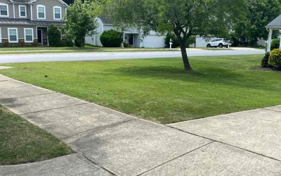 Photo of Sahidan K.'s yard after getting lawn care in Oak Island, NC