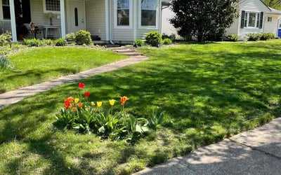Photo of Gregory G.'s yard after getting lawn care in Lexington, KY