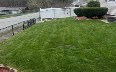 Photo of Morman M.'s yard after getting lawn care in Beverly, MA