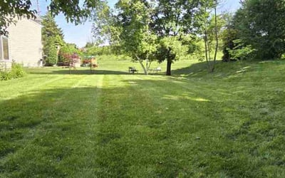 Photo of Ashley R.'s yard after getting lawn care in Gurnee, IL