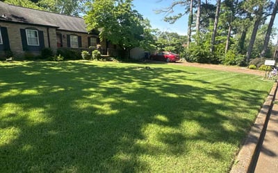 Photo of Juanita B.'s yard after getting lawn care in Wendell, NC