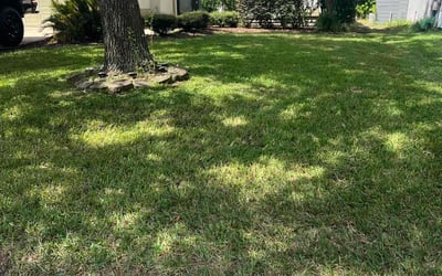 Photo of Cullen M.'s yard after getting lawn care in South Windsor, CT