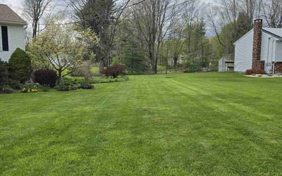 Photo of AUDREY I.'s yard after getting lawn care in North Haven, CT