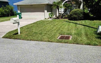 Photo of Paz R.'s yard after getting lawn care in Jacksonville Beach, FL