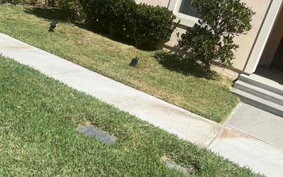 Photo of Desiree W.'s yard after getting lawn care in Irvine, CA