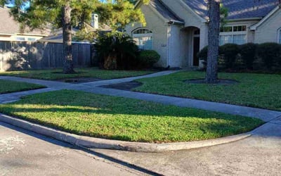 Photo of Edgar A.'s yard after getting lawn care in Freeport, TX