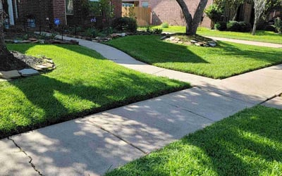 Photo of Jerry J.'s yard after getting lawn care in Grayslake, IL