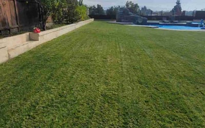 Photo of Kerry O.'s yard after getting lawn care in Chula Vista, CA