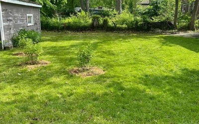 Photo of Dakisha M.'s yard after getting lawn care in Gary, IN