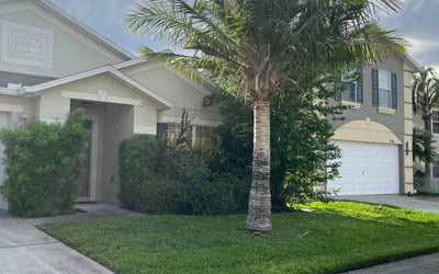 Photo of Vanessa B.'s yard after getting lawn care in Orlando, FL
