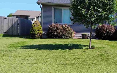 Photo of Christian T.'s yard after getting lawn care in Waterloo, IA