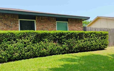 Photo of Anadina G.'s yard after getting lawn care in Coachella, CA
