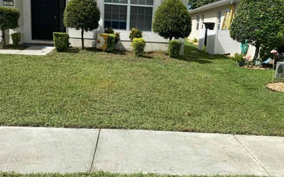 Photo of Michael S.'s yard after getting lawn care in Little Neck, NY