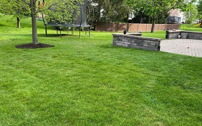 Photo of Henri W.'s yard after getting lawn care in Vernon Hills, IL