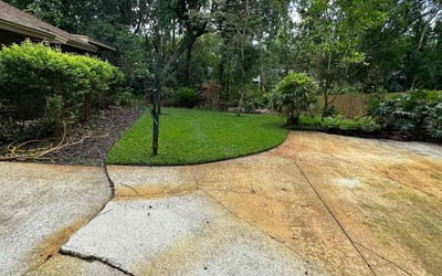 Photo of Rob M.'s yard after getting lawn care in Maitland, FL