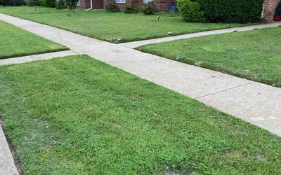 Photo of Fredericka C.'s yard after getting lawn care in Cedar Hill, TX