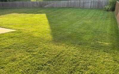 Photo of Titi P.'s yard after getting lawn care in Carol Stream, IL
