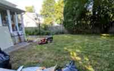 Photo of Ron T.'s yard after getting lawn care in Carteret, NJ